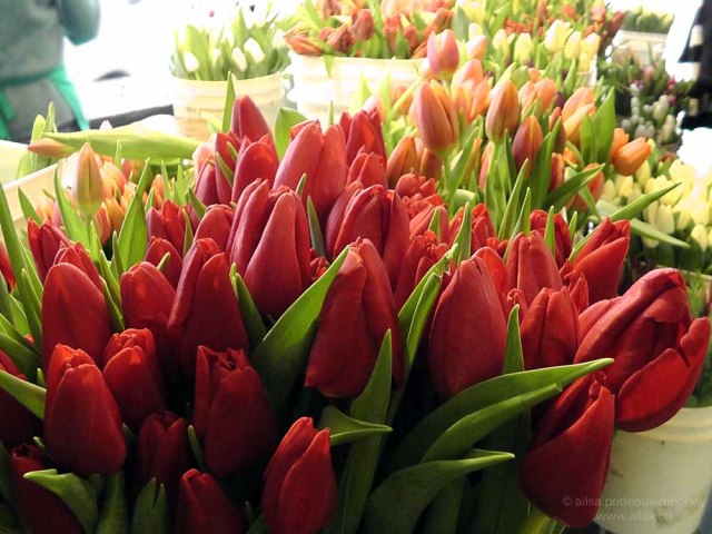 pike place market, flower market, seattle, travel, travelogue, ailsa prideaux-mooney