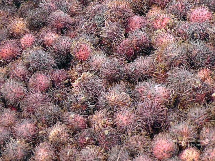 rambutan