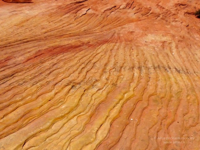 red wave zion national park utah navajo sandstone us road trip usa america driving