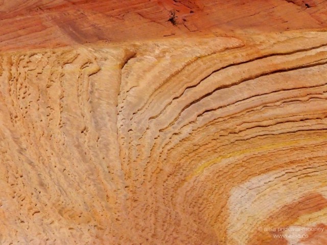 red wave zion national park utah navajo sandstone us road trip usa america driving