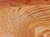 red wave zion national park utah navajo sandstone us road trip usa america driving