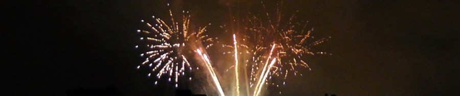 seattle washington space needle fireworks new years eve 2013