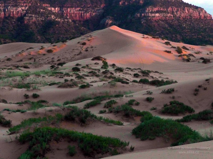 coral pink sand dunes state park utah road trip