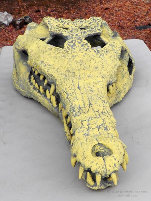 utah-croc