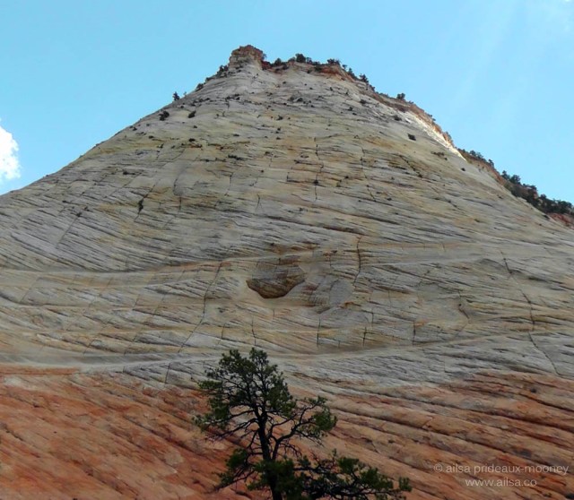 checkerboard mesa zion national park utah navajo sandstone us road trip usa america driving