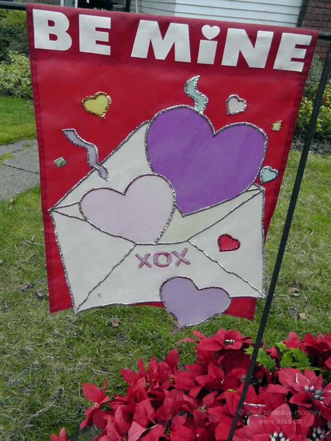 seattle washington valentine's day holiday tree phinney ridge