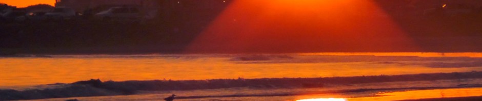 california coast road trip travel us usa america beach ocean sunset