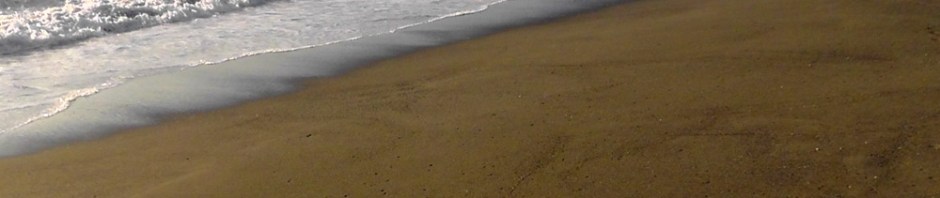 california coast road trip travel us usa america beach ocean