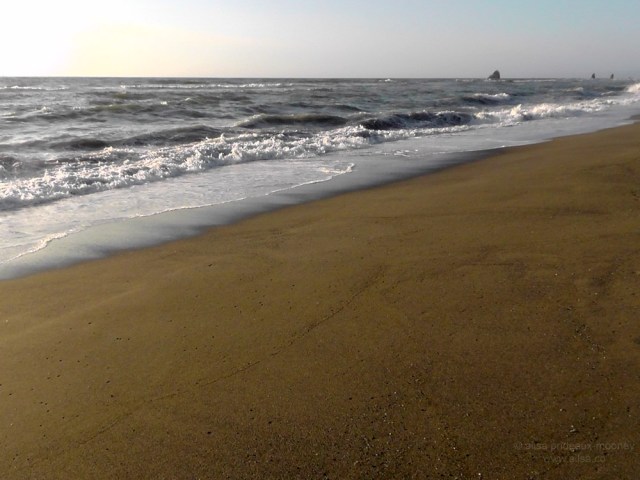 california coast road trip travel us usa america beach ocean