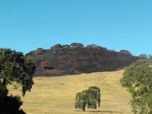 scorch burn hills california us usa america road trip travel