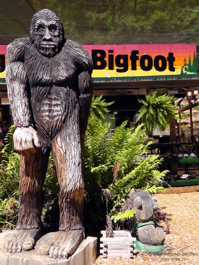 legend of bigfoot garberville california road trip us usa america travel