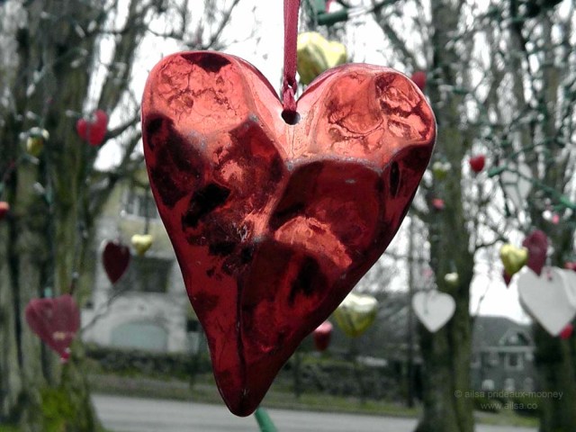 seattle washington valentine's day holiday tree phinney ridge