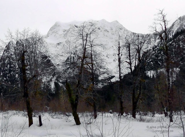 big four mountain travel washington ice caves