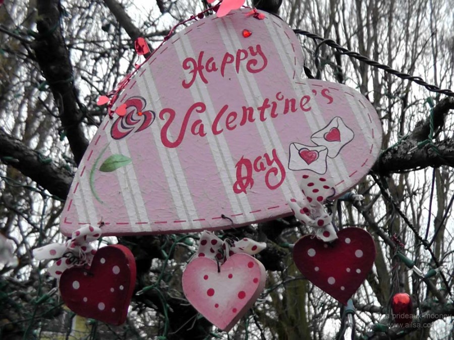 seattle washington valentine's day holiday tree phinney ridge