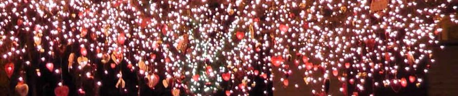 seattle washington valentine's day holiday tree phinney ridge