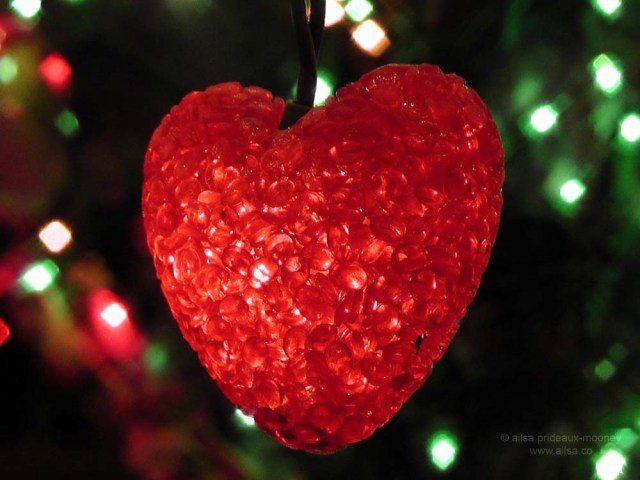 seattle washington valentine's day holiday tree phinney ridge