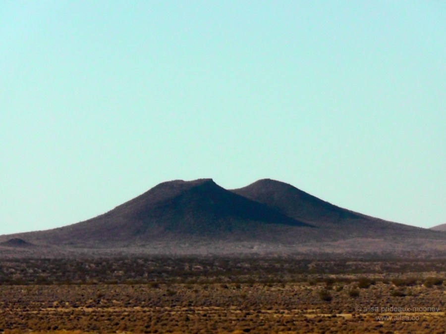 mojave joshua tree desert california road trip us usa america driving travel
