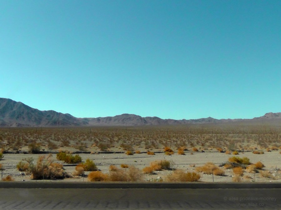 mojave joshua tree desert california road trip us usa america driving travel
