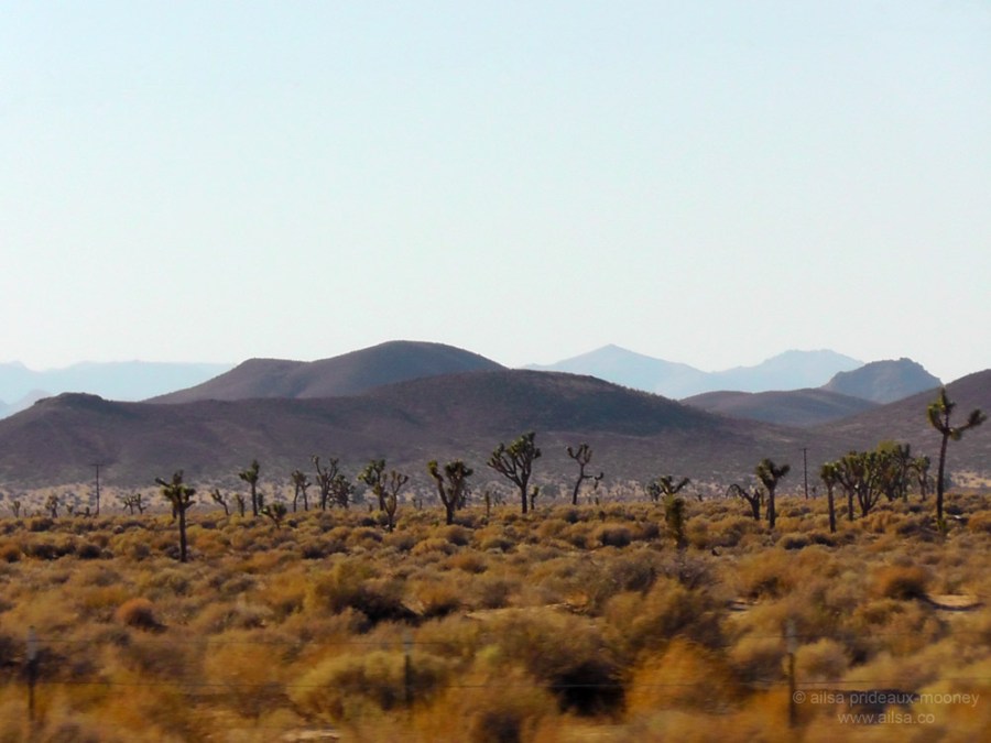 mojave joshua tree desert california road trip us usa america driving travel