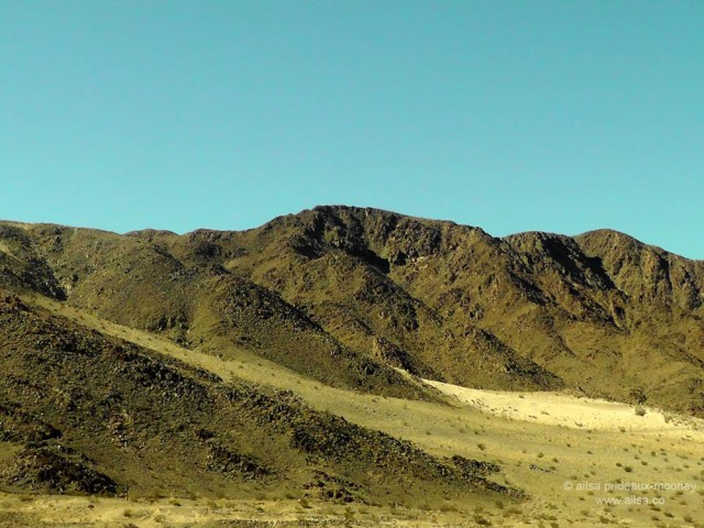 mojave joshua tree desert california road trip us usa america driving travel