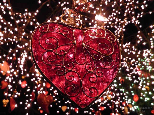 seattle washington valentine's day holiday tree phinney ridge