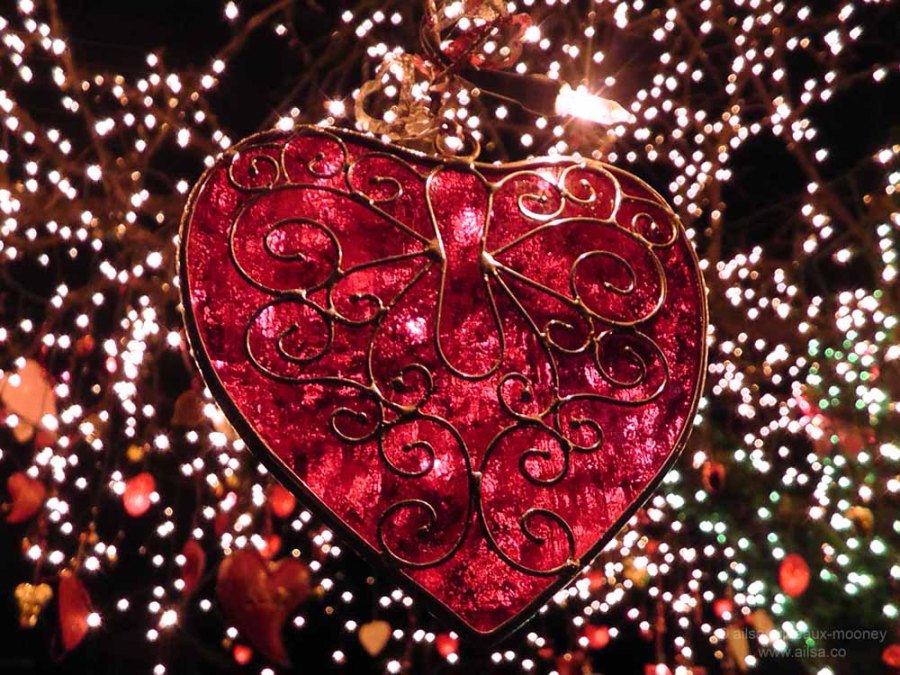 seattle washington valentine's day holiday tree phinney ridge