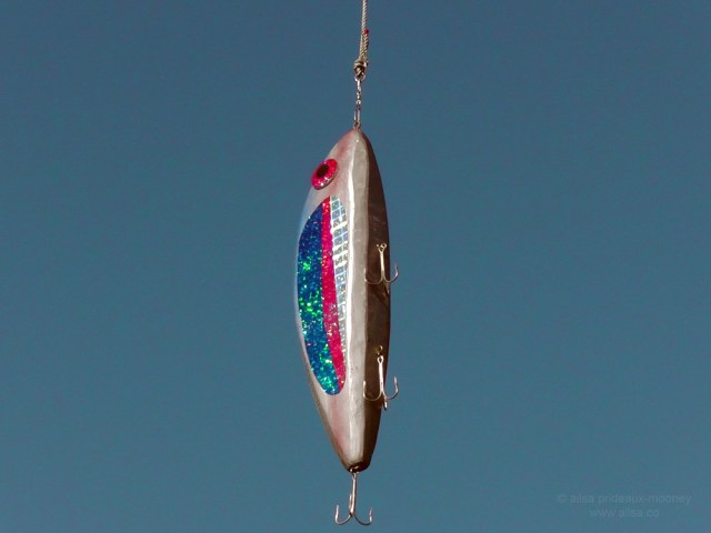 olympic peninsula washington fish bait sign