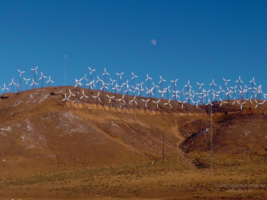 mojave tehachapi pass windfarm desert california road trip us usa america driving travel