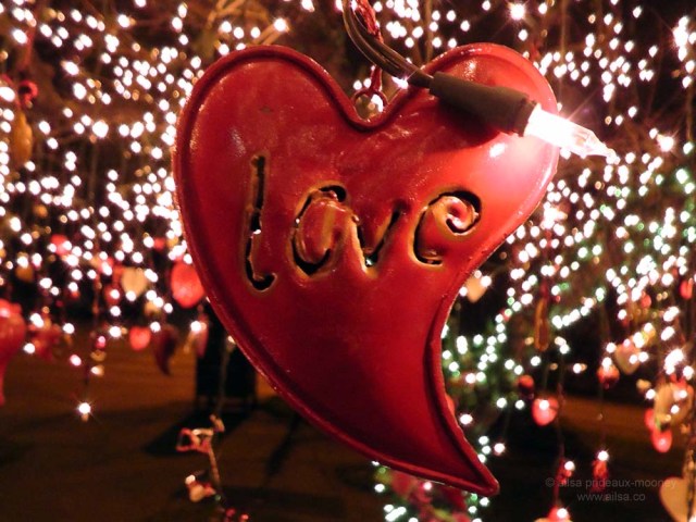 seattle washington valentine's day holiday tree phinney ridge