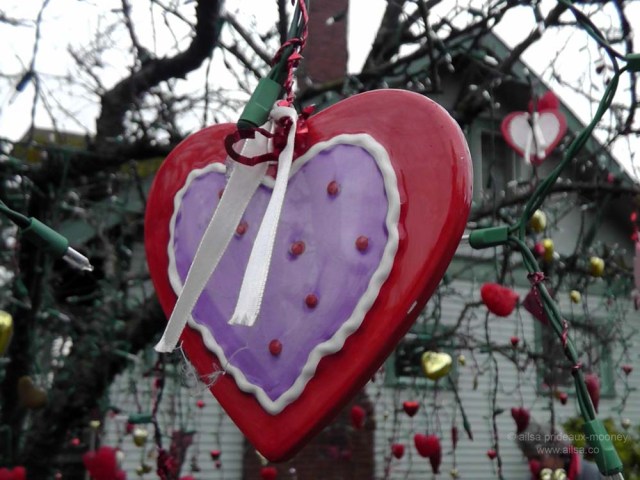 seattle washington valentine's day holiday tree phinney ridge