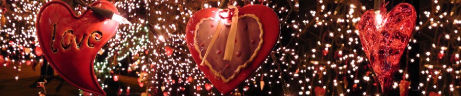 seattle washington valentine's day holiday tree phinney ridge