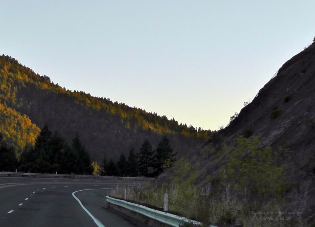 california vineyard winery vines us usa america road trip travel