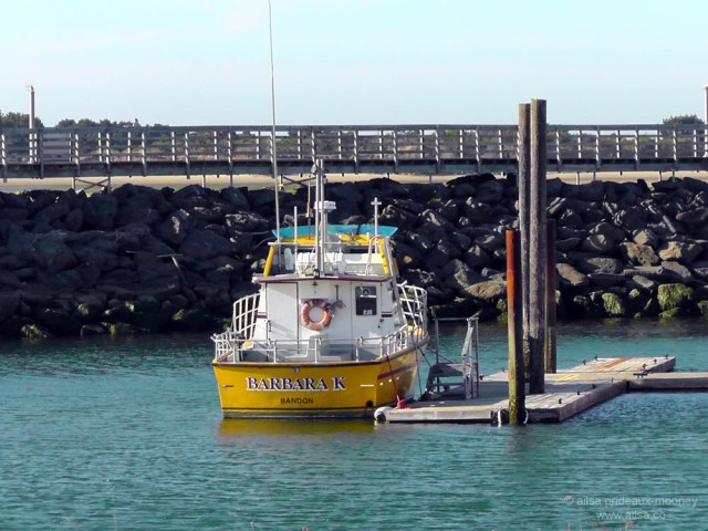 us, road trip, roadtrip, usa, america, oregon coast, oregon, united states, travel, bandon  