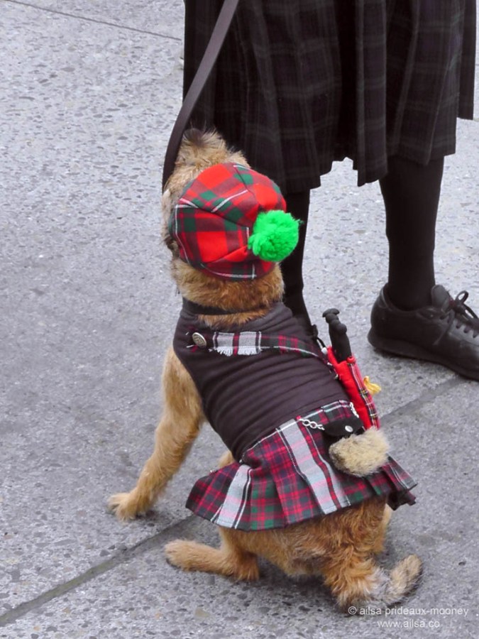 st. patrick's day, st patrick's day, seattle, 2013, st patrick's day parade, irish week seattle, travel, ailsa prideaux-mooney