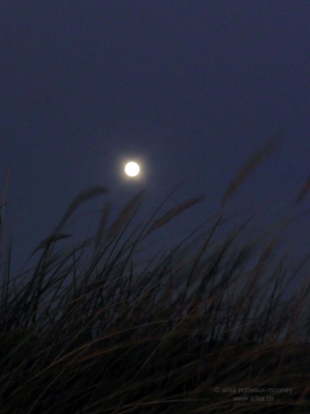 us, road trip, roadtrip, usa, america, oregon coast, oregon, united states, travel, oregon dunes, moonrise