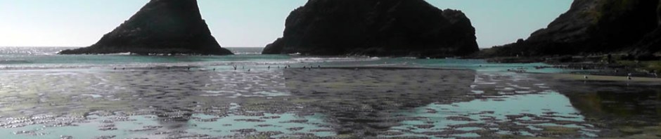 us, usa, america, road trip, roadtrip, oregon coast. travel