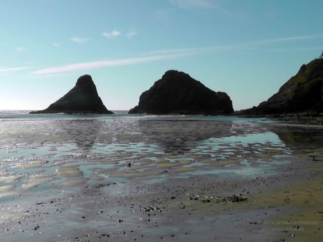 us, usa, america, road trip, roadtrip, oregon coast. travel