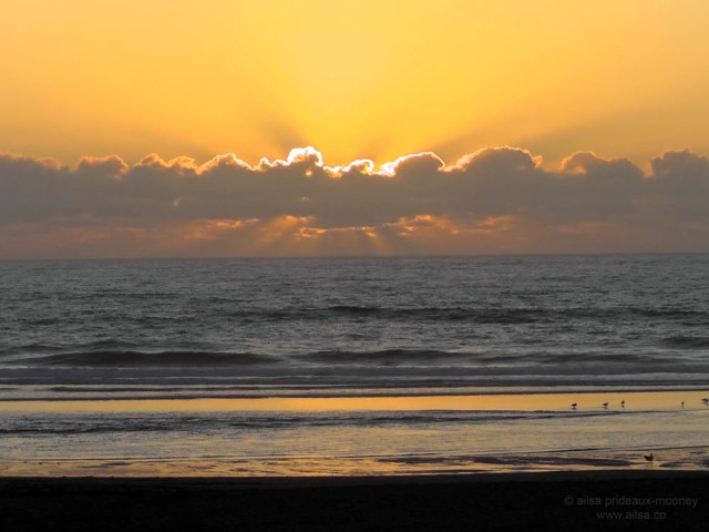 us, usa, america, road trip, roadtrip, oregon coast. travel