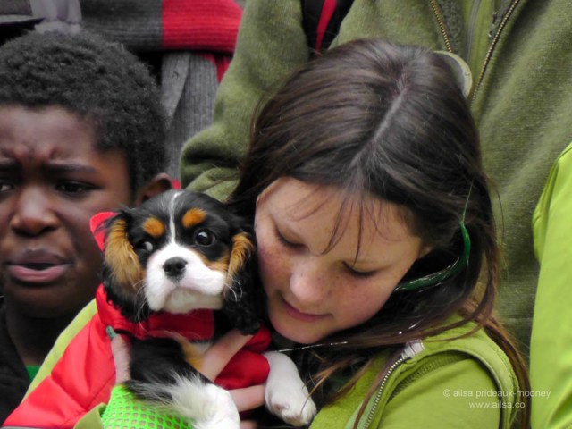 st. patrick's day, st patrick's day, seattle, 2013, st patrick's day parade, irish week seattle, travel, ailsa prideaux-mooney