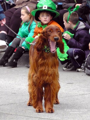 st. patrick's day, st patrick's day, seattle, 2013, st patrick's day parade, irish week seattle, travel, ailsa prideaux-mooney
