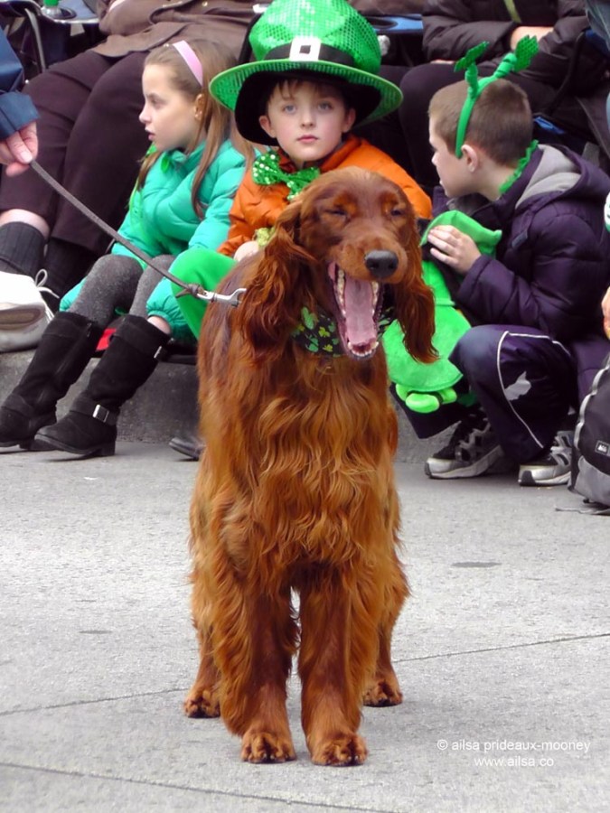 st. patrick's day, st patrick's day, seattle, 2013, st patrick's day parade, irish week seattle, travel, ailsa prideaux-mooney