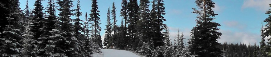 olympic mountains national park, winter, snow, forest, hurricane ridge, travel, ailsa prideaux-mooney