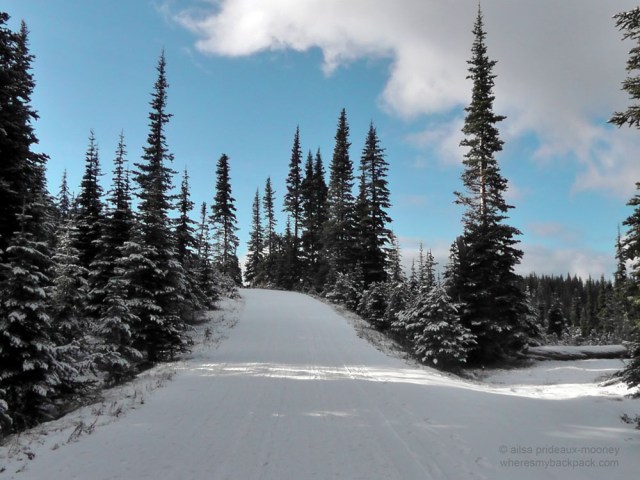 olympic mountains national park, winter, snow, forest, hurricane ridge, travel, ailsa prideaux-mooney