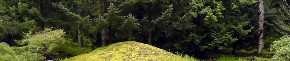 bloedel reserve, seattle, travel, travelogue, photography, ailsa prideaux-mooney