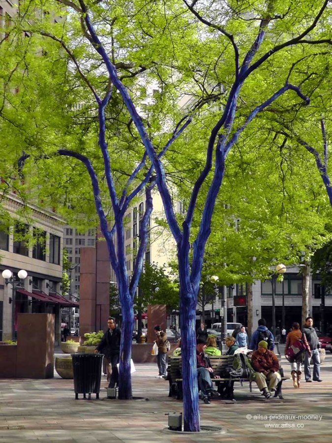 blue trees, westlake center, seattle, Konstantin Dimopoulos, travel, art, photography, ailsa prideaux-mooney, travelogue