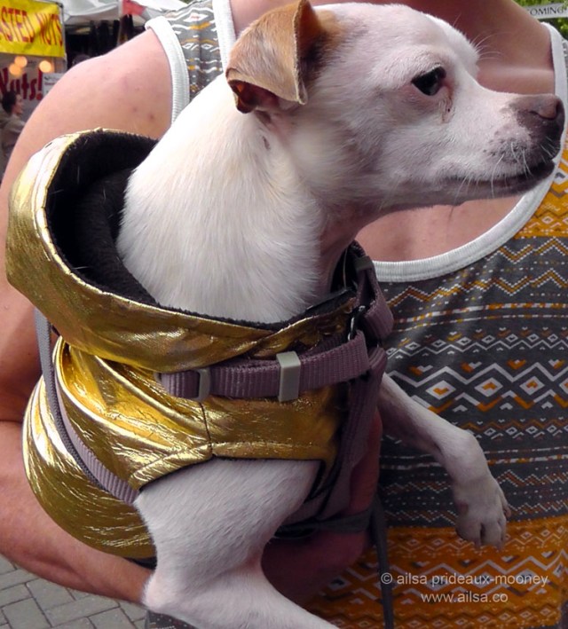 seattle, northwest folklife festival, folklife, travel, photography, travelogue, ailsa prideaux-mooney