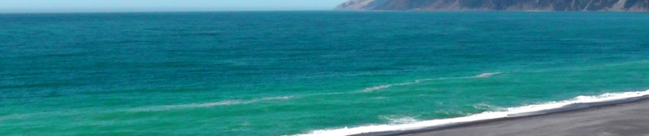 lost coast, black sands, beach, california, travel, photography, ailsa prideaux-mooney, travelogue