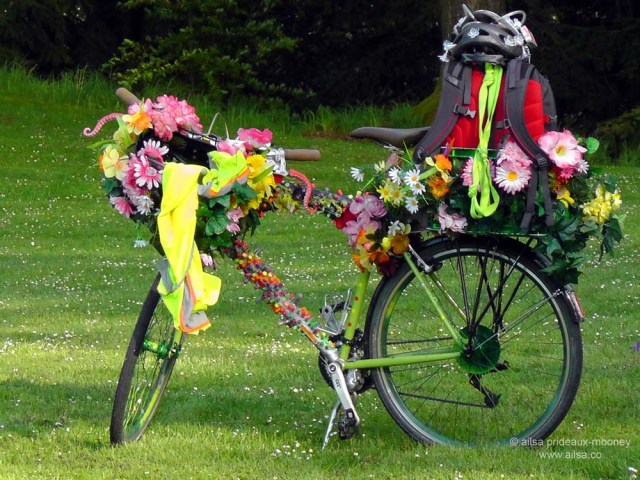 may day, maypole. seattle, washington, travel, ailsa prideaux-mooney, photography