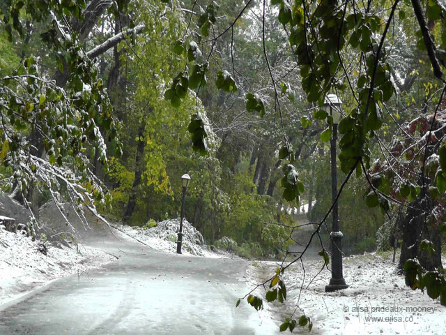 inwood hill park, manhattan, new york, travel, travelogue, ailsa prideaux-mooney