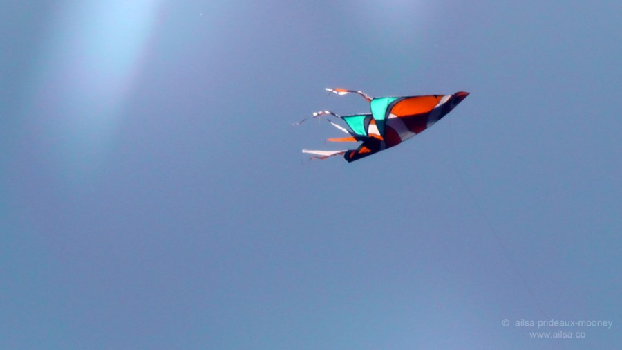 seattle, washington, magnuson park, sand point air base, fin art, fin project, kite hill, travel, travelogue, ailsa prideaux-mooney